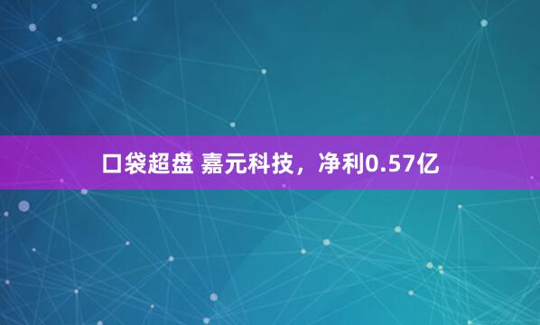 口袋超盘 嘉元科技，净利0.57亿