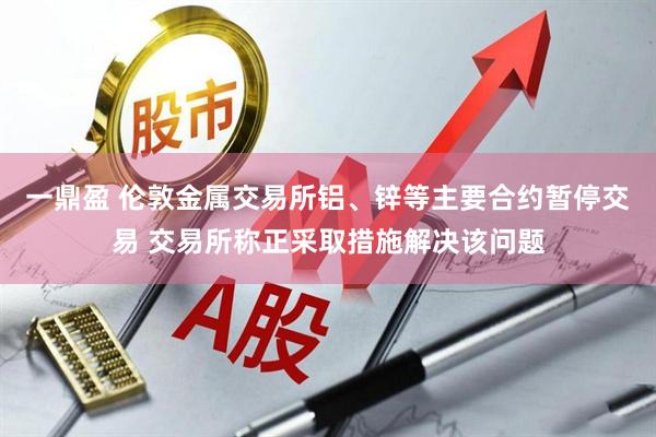 一鼎盈 伦敦金属交易所铝、锌等主要合约暂停交易 交易所称正采取措施解决该问题